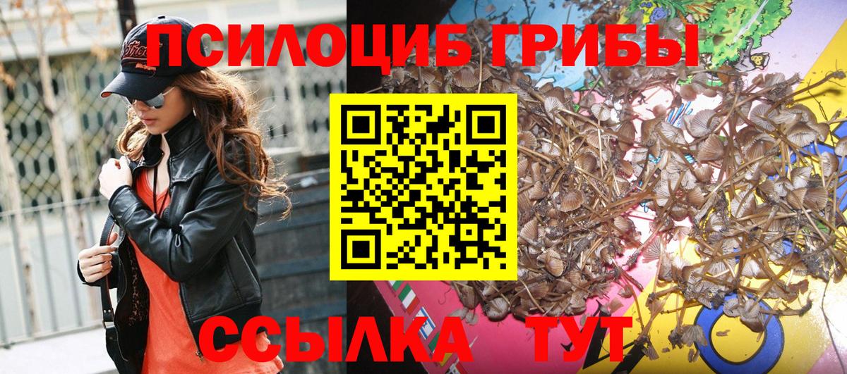 Псилоцибиновые грибы Magic Shrooms  Вход с VPN  Семилуки 